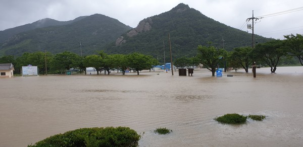 원불교영산선학대학교 앞 주차장이 폭우로 물이 가득차 올랐다.                     (사진: 영광교구사무국 제공)