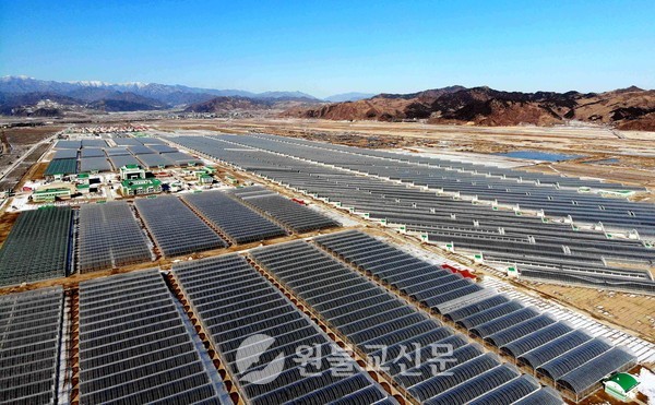 2019년 함경북도 경성군에 새로 건설한 대규모 남새(채소)온실농장 전경. 북한은 사시사철 주민들의 야채수요를 충당하기 위해 각 지역별로 온실농장을 확대하고 있다.