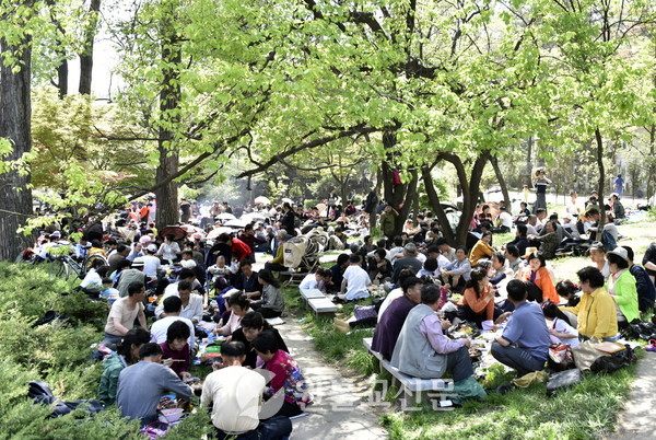 노동절을 맞아 평양의 시민들이 모란봉유원지에 나와 가족단위로 식사하고 있다. 