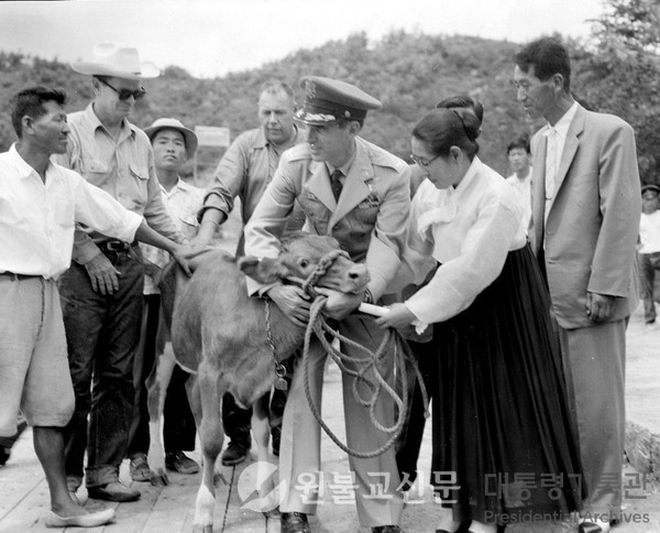 딘 헤스 대령 한국보육원 방문 소 21두 기증(1959년) | 사진 출처=대통령 기록관